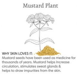 100% Natural Mustard Bath - Barefoot Venus
